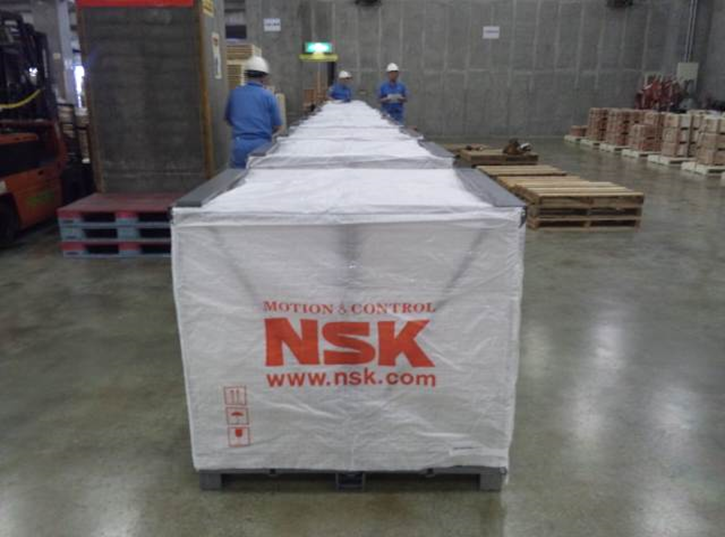 nsk1